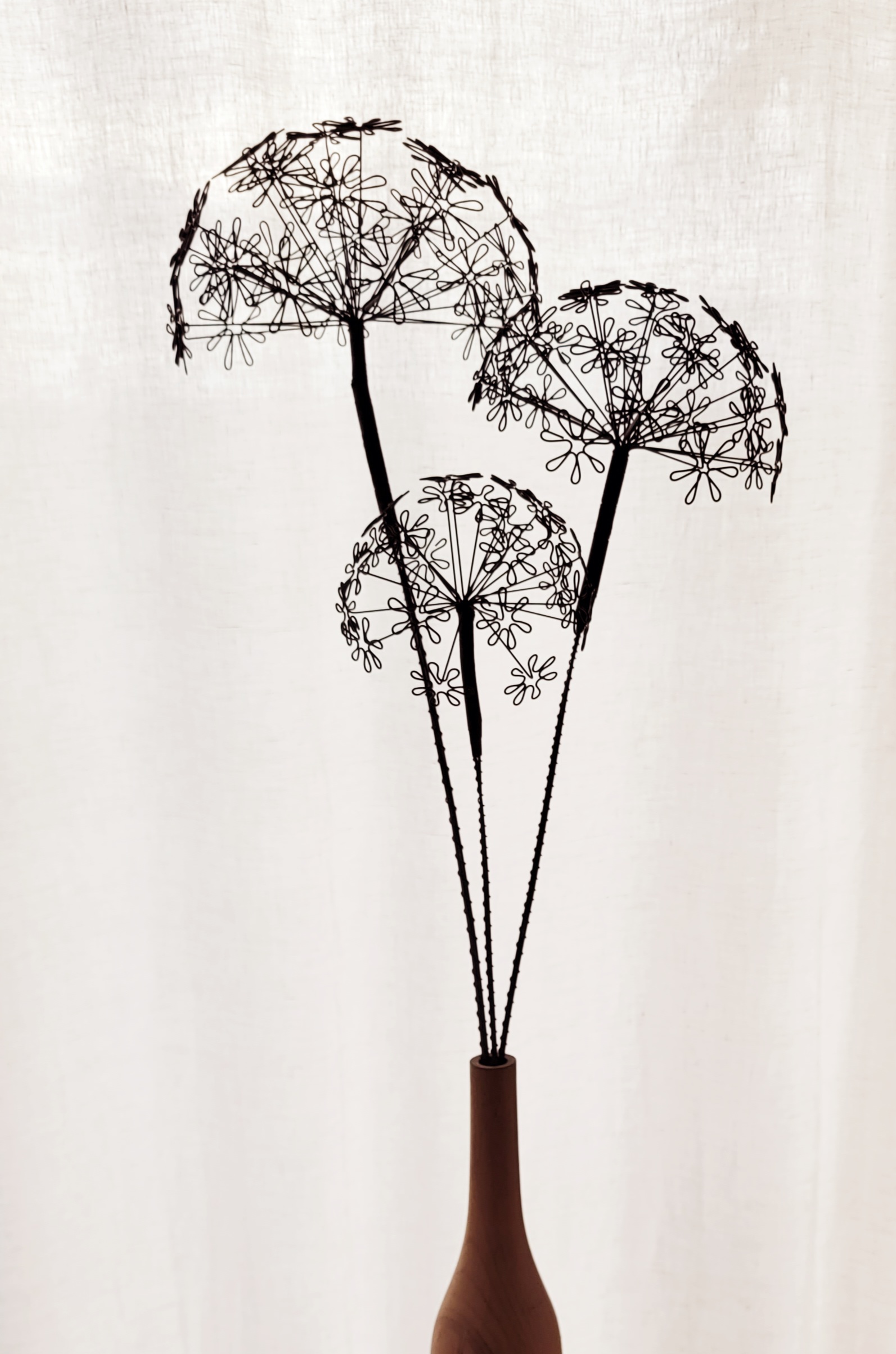 20260114_151813 Pusteblume