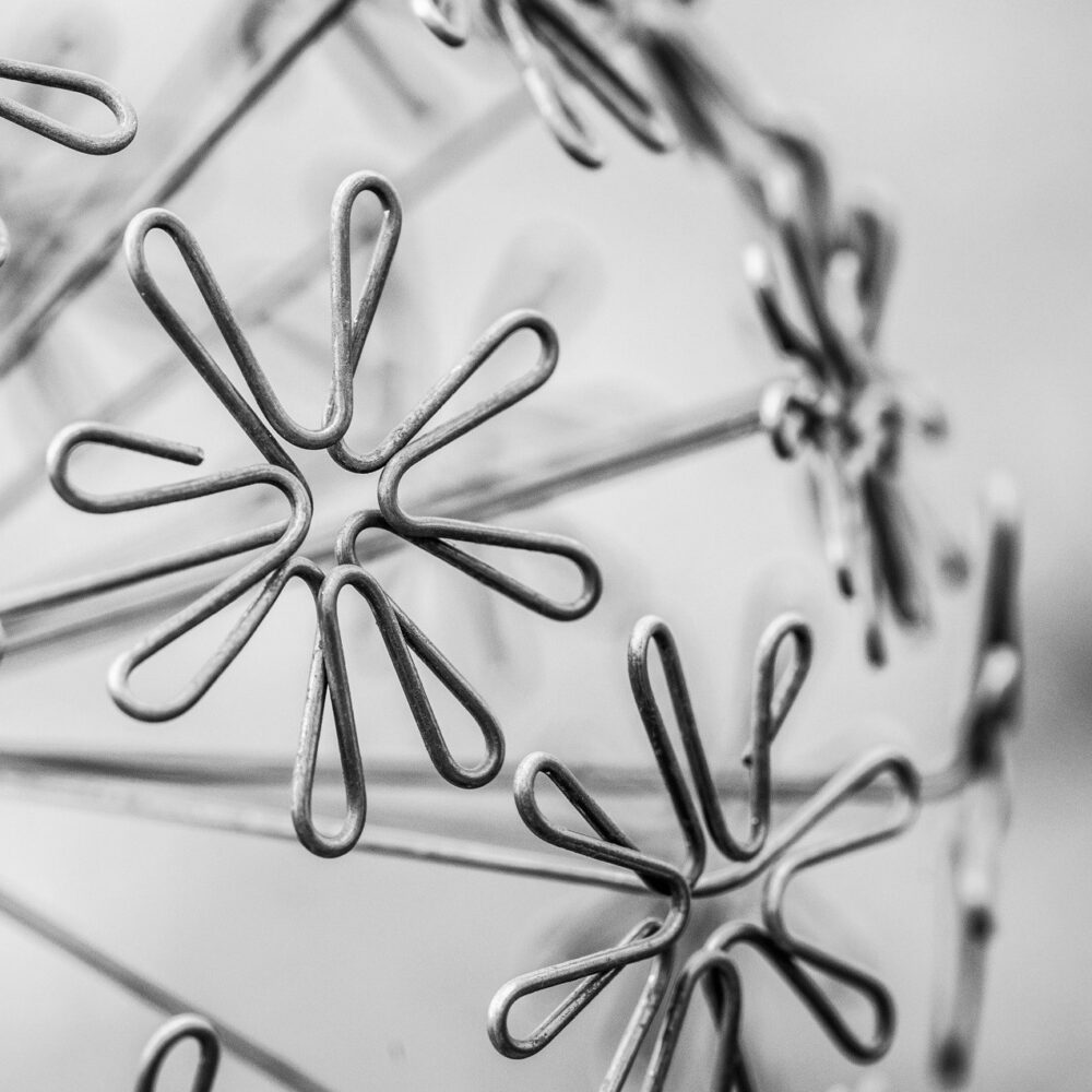 DSC_8558-1-edit-20251209112815 Pusteblume