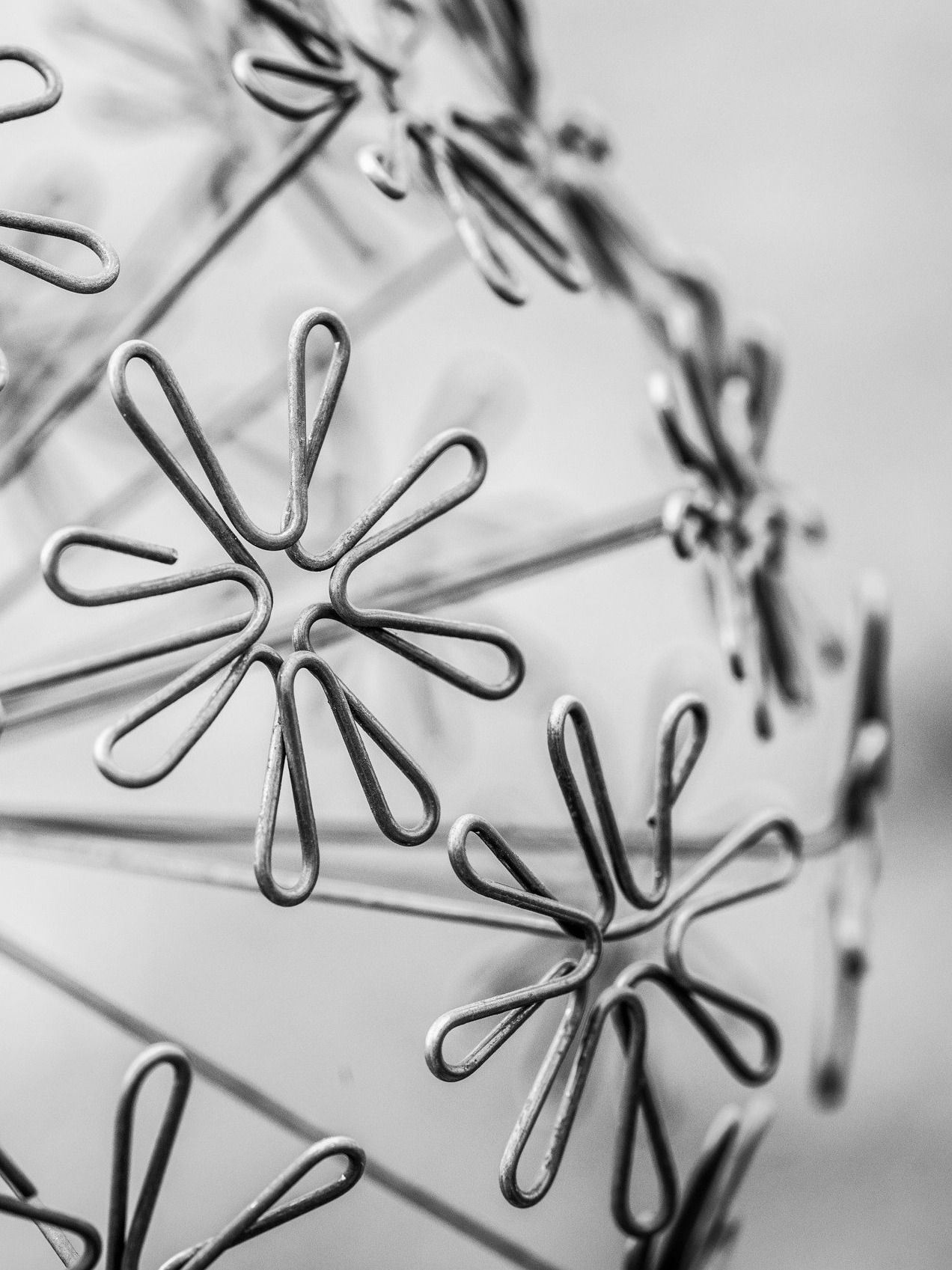 DSC_8558-1-edit-20251209112815 Pusteblume