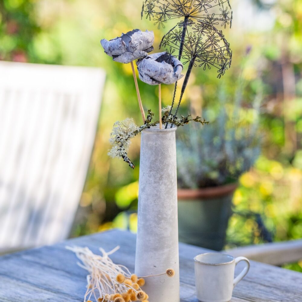 DSC_9571-edit-20251209112356 Pusteblume