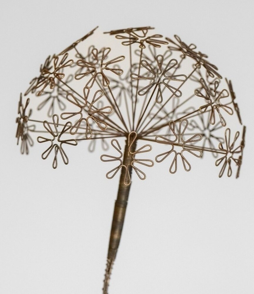 DSC_9773-edit-20251209112436 Pusteblume