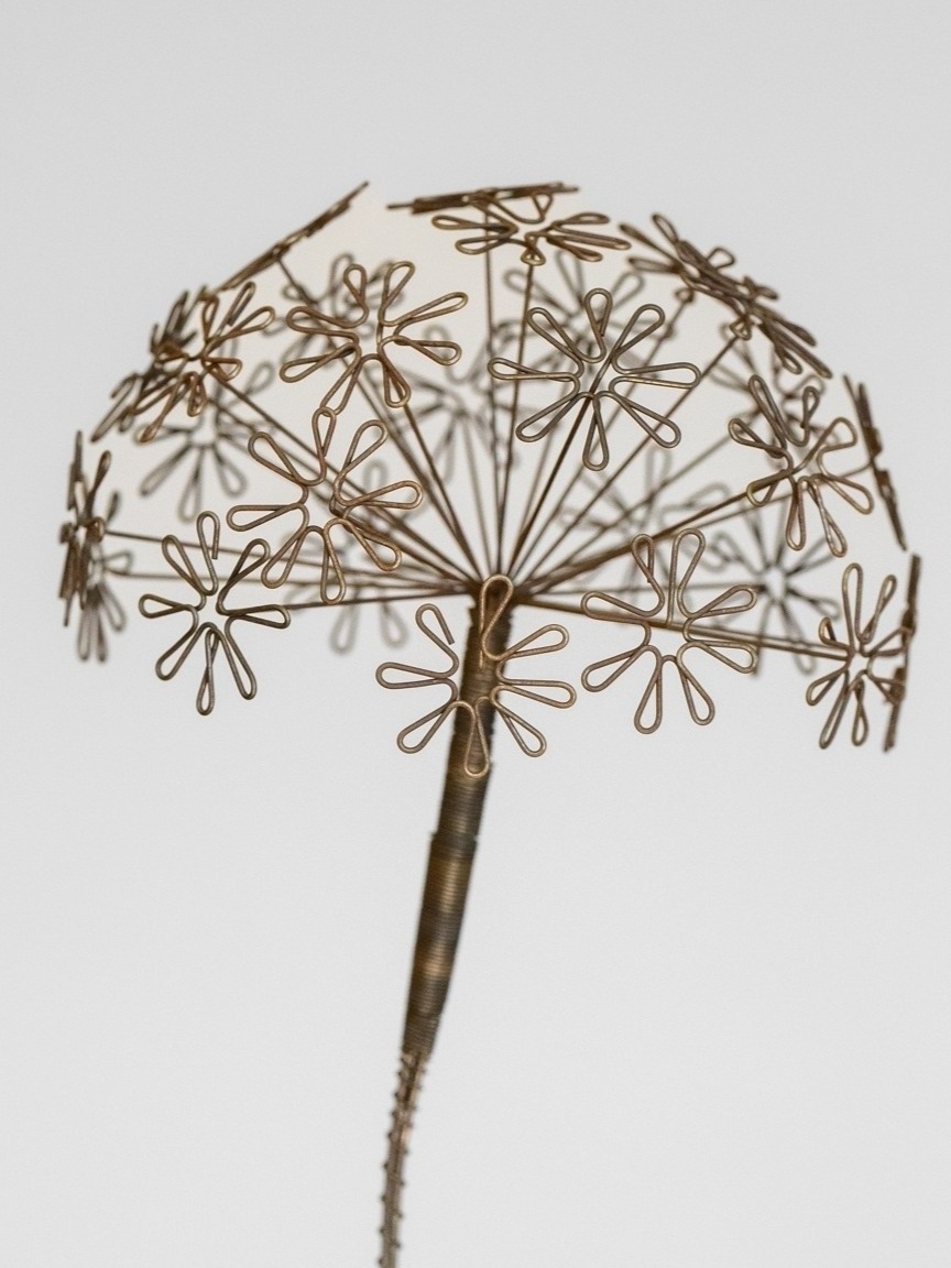 DSC_9773-edit-20251209112436 Pusteblume