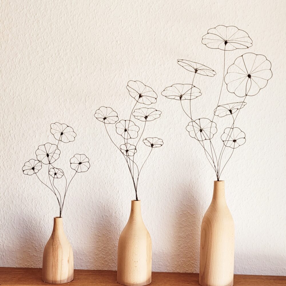 20241105_110125 Strauß Stephania Erecta