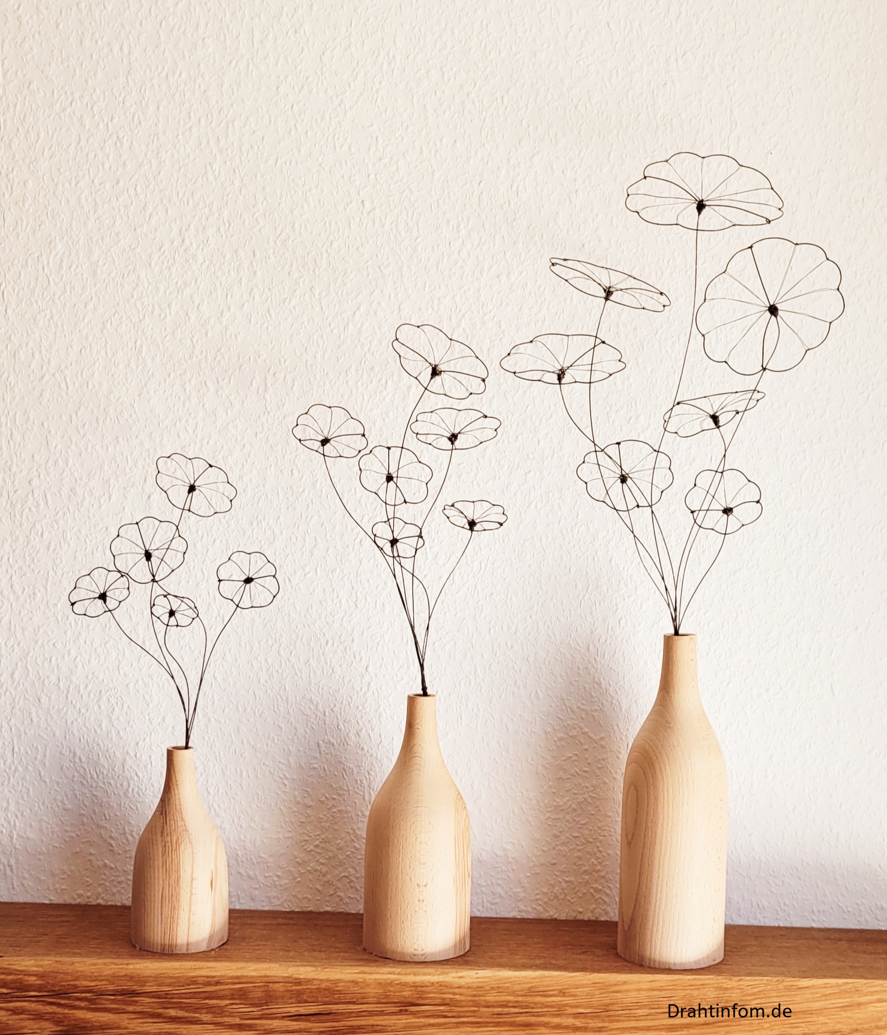 20241105_110125 Strauß Stephania Erecta