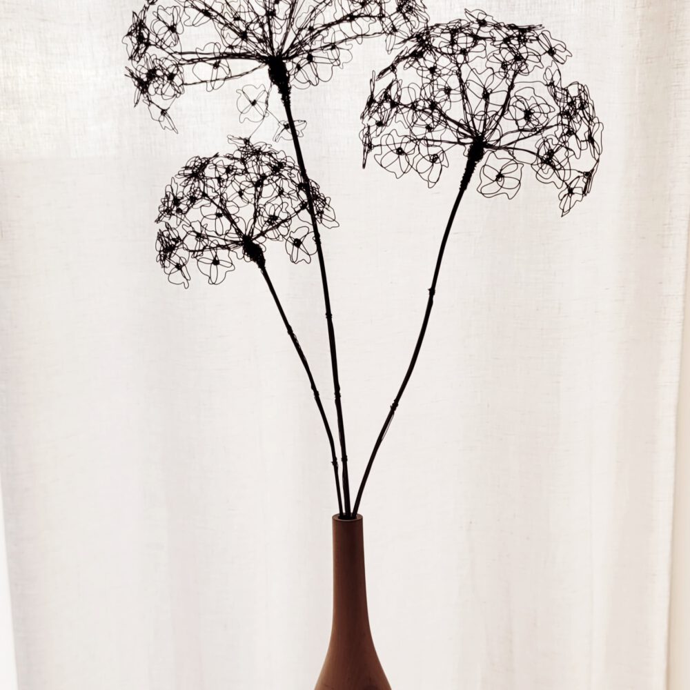 20260114_152950 Hortensie