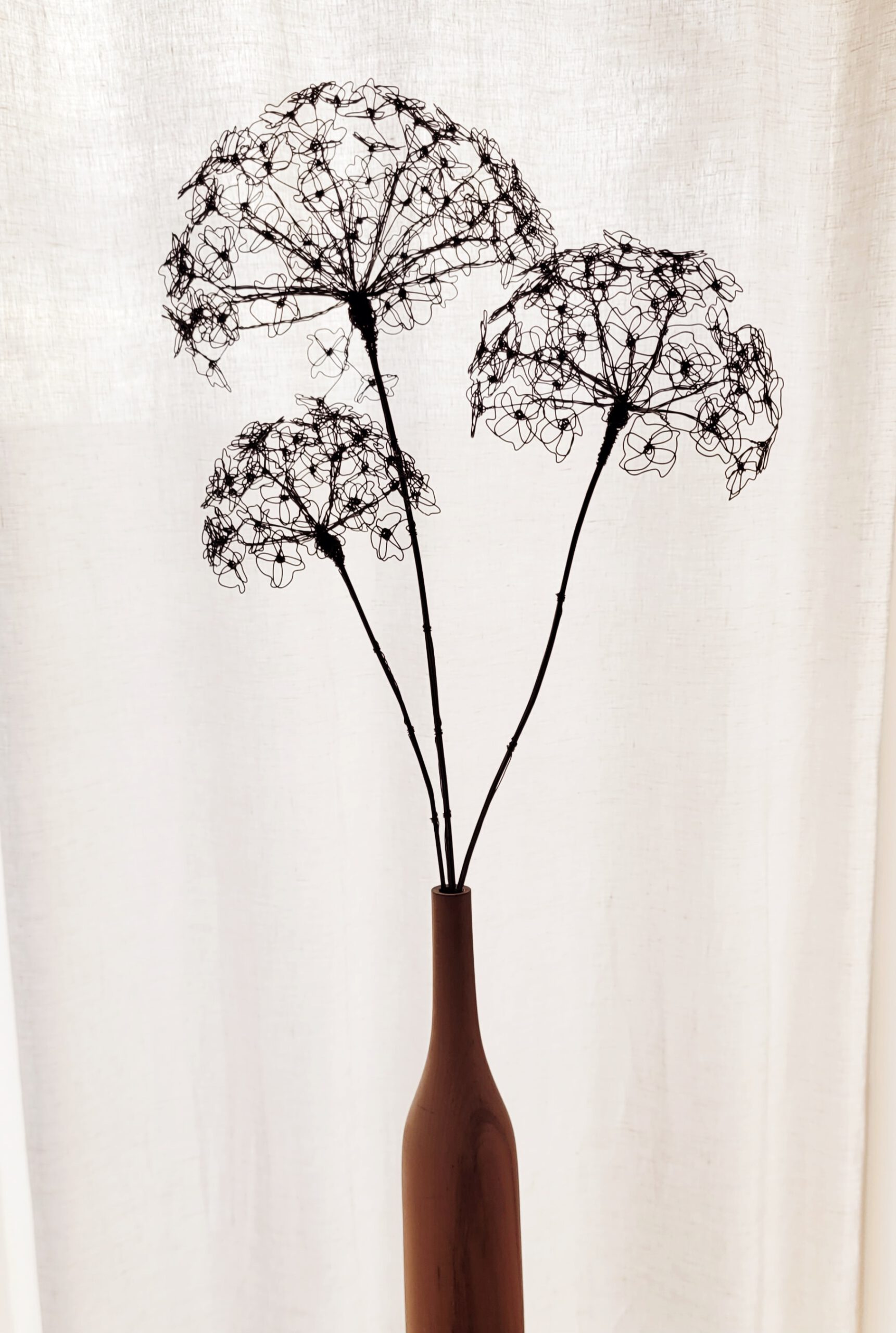 20260114_152950 Hortensie