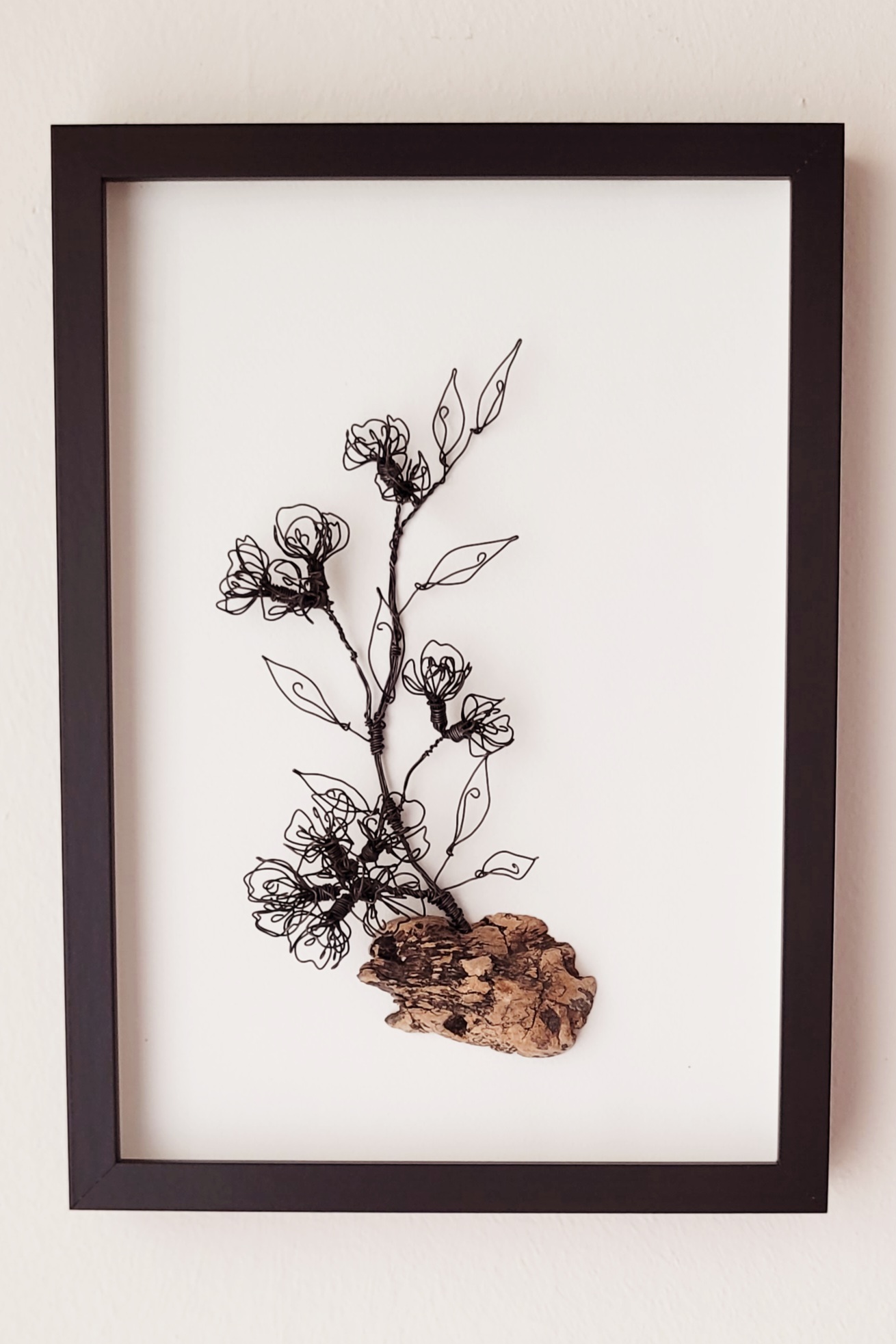 20260114_153409 Kirschblütenzweig auf Treibholz