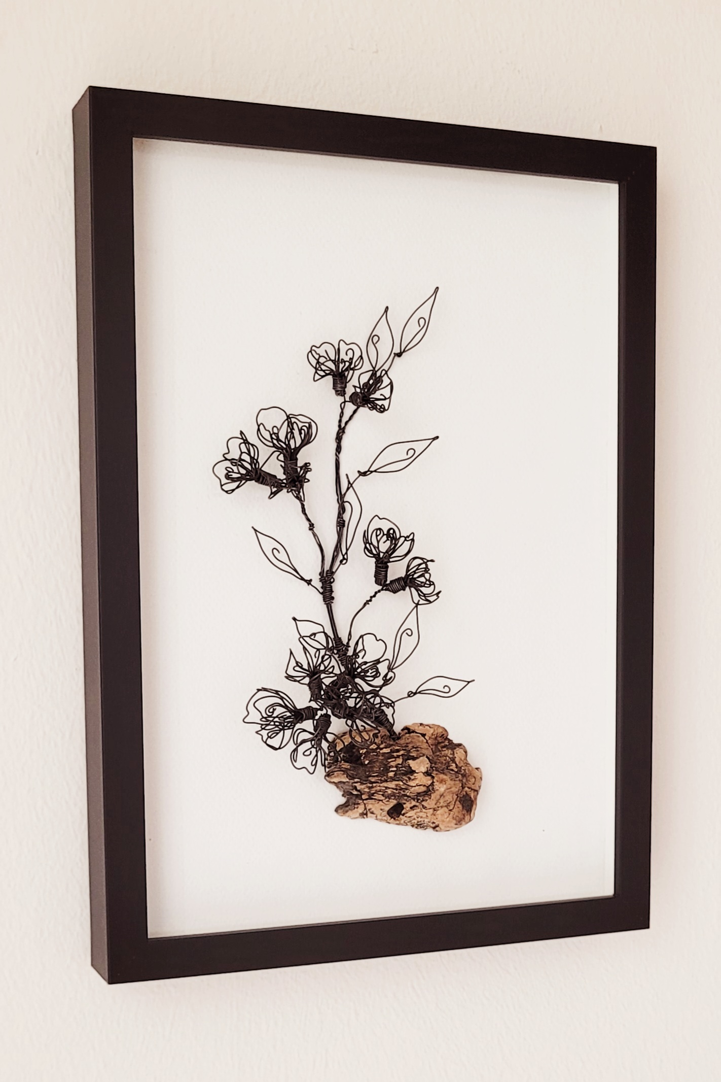 20260114_153422 Kirschblütenzweig auf Treibholz