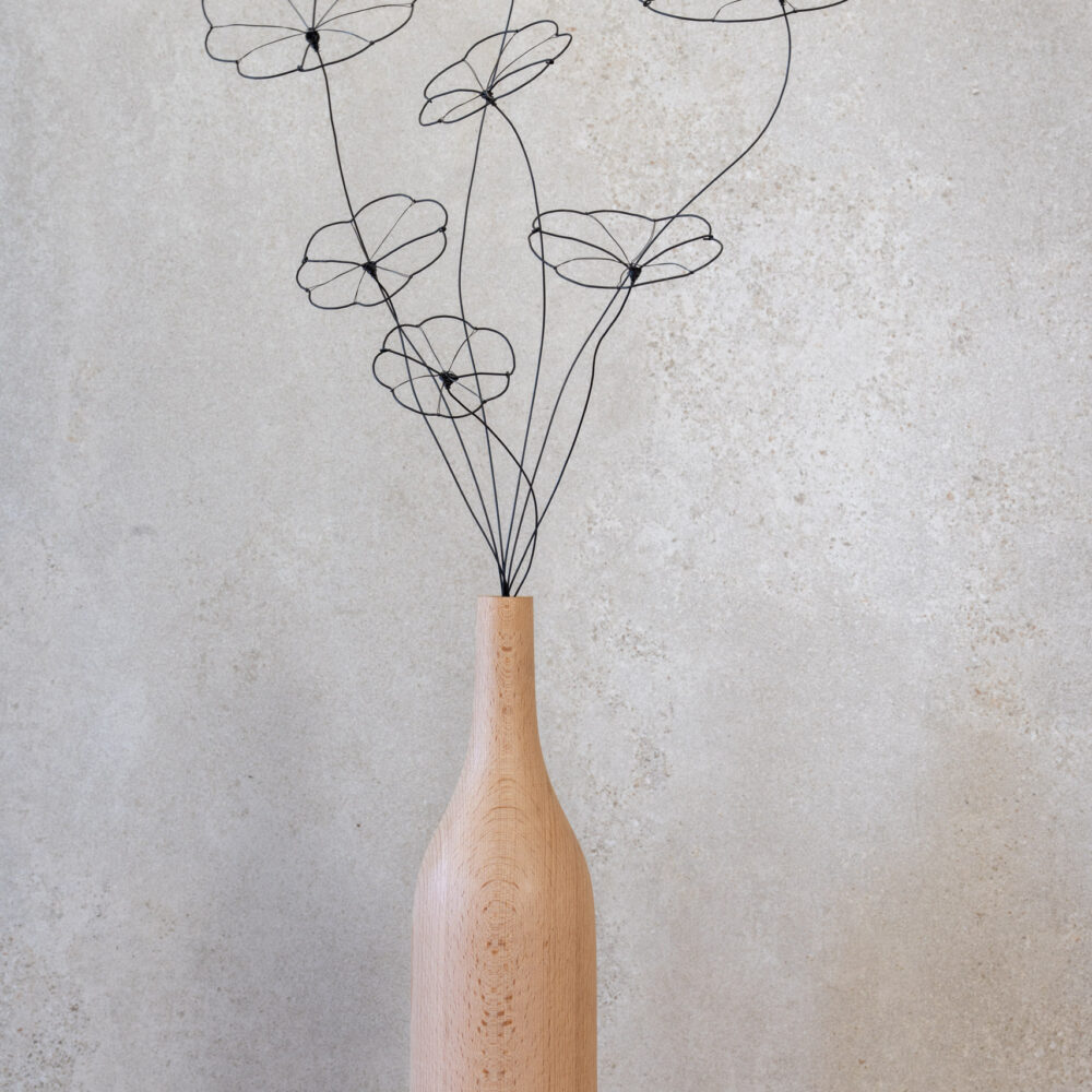 DSC_0875 Strauß Stephania Erecta