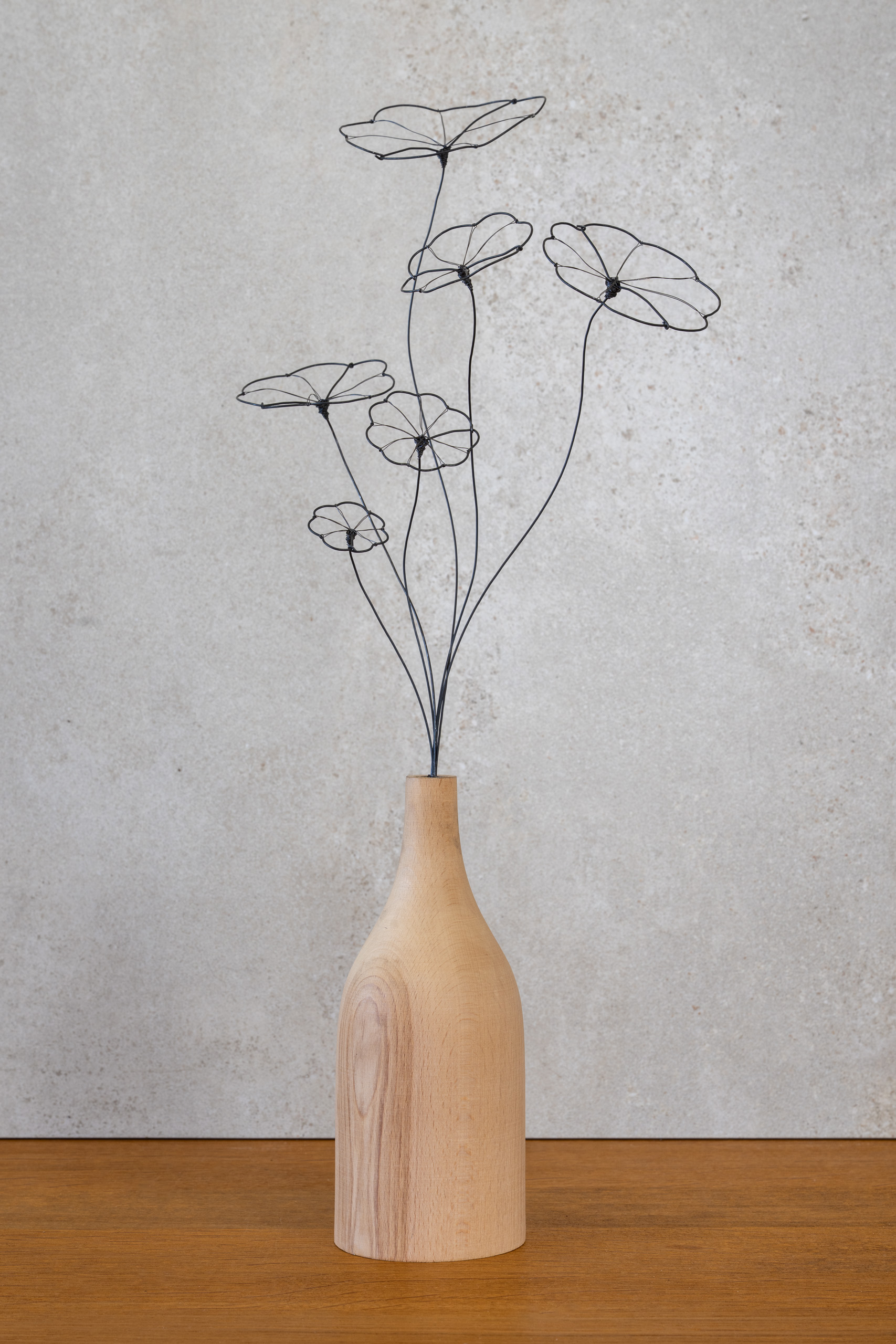 DSC_0877 Strauß Stephania Erecta