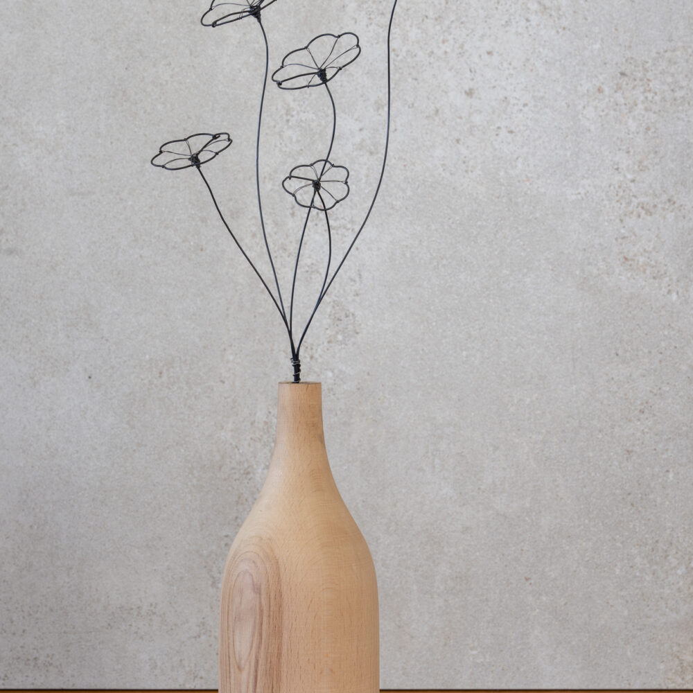 DSC_0881 Strauß Stephania Erecta