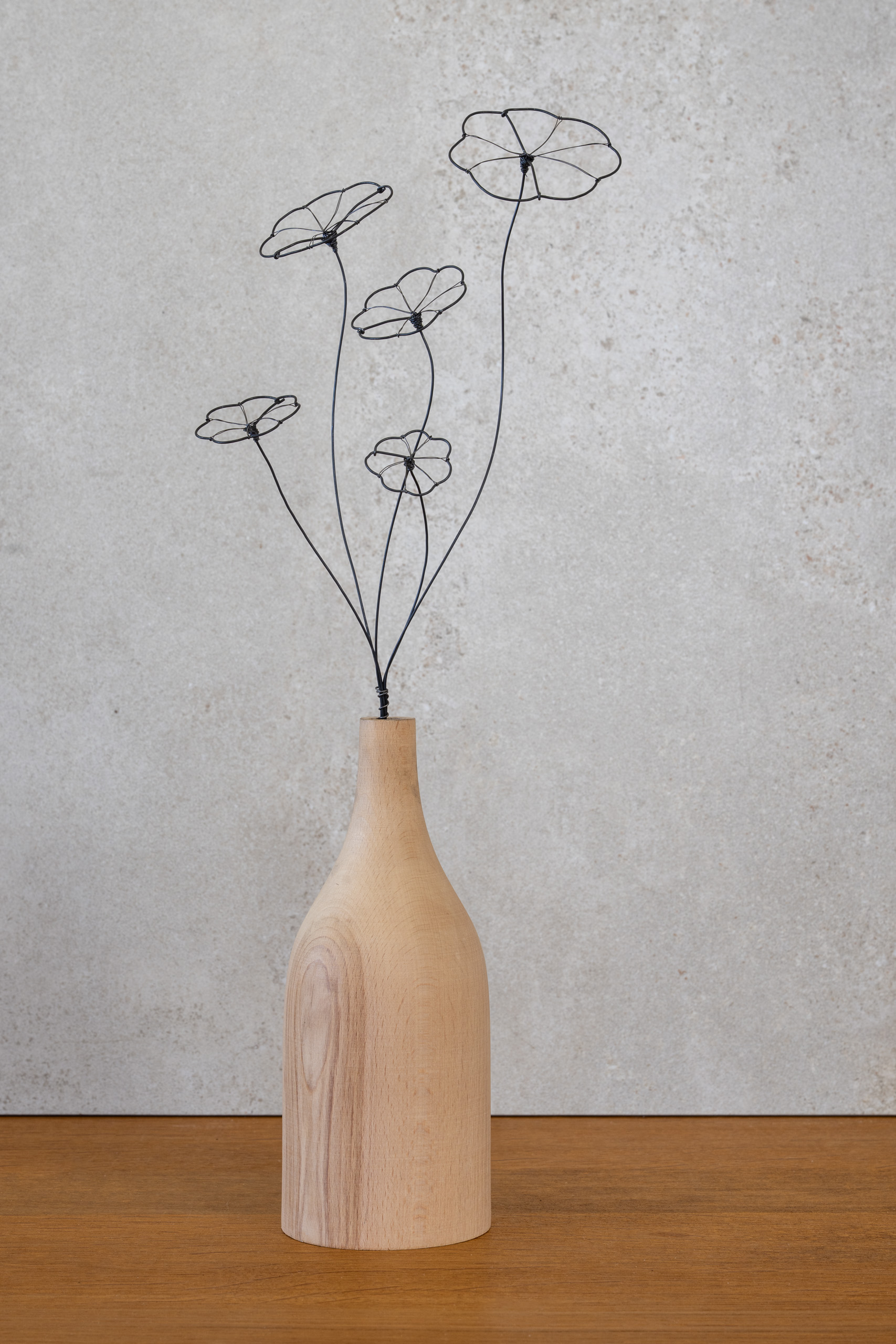 DSC_0881 Strauß Stephania Erecta