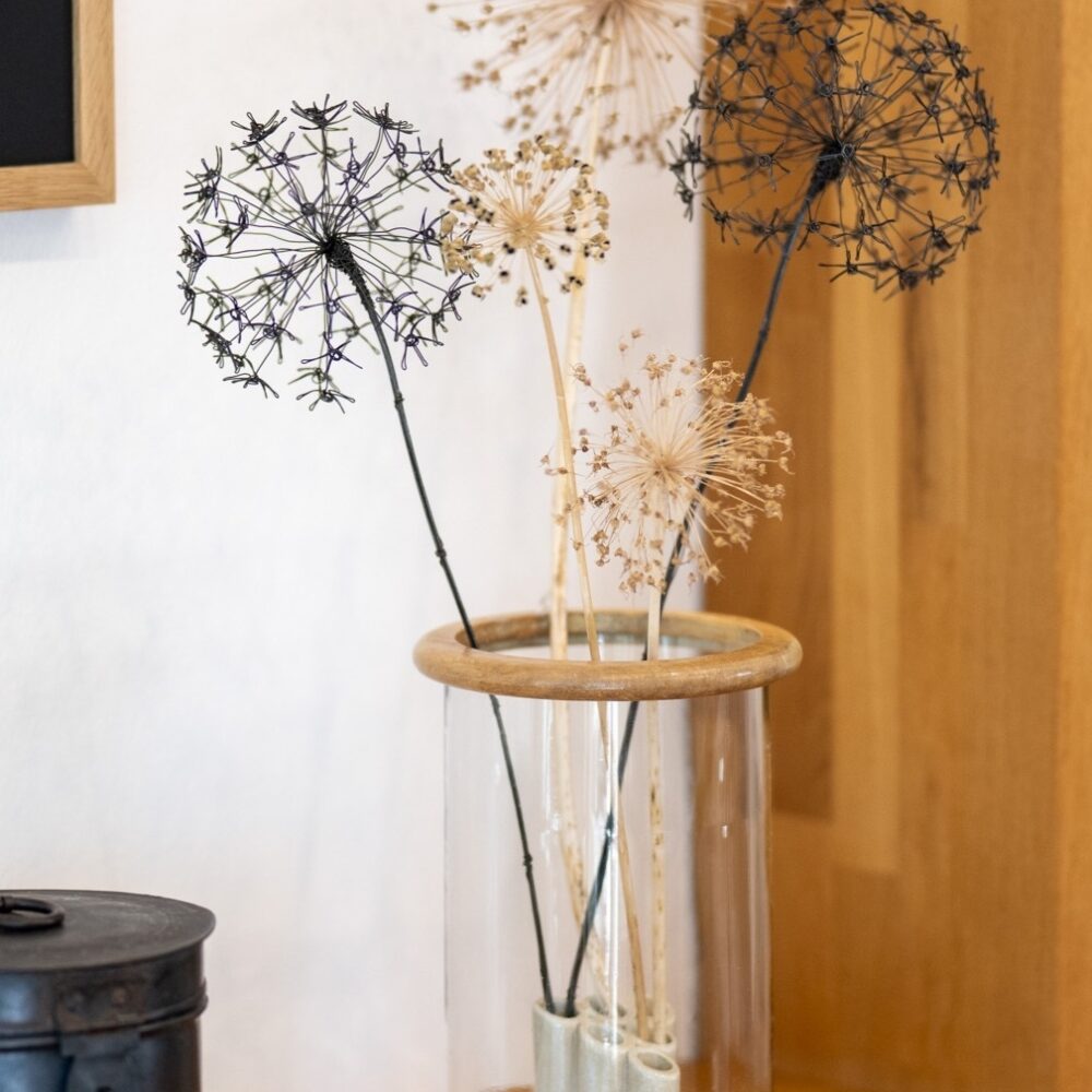 DSC_1351-edit-20251216163725 Allium