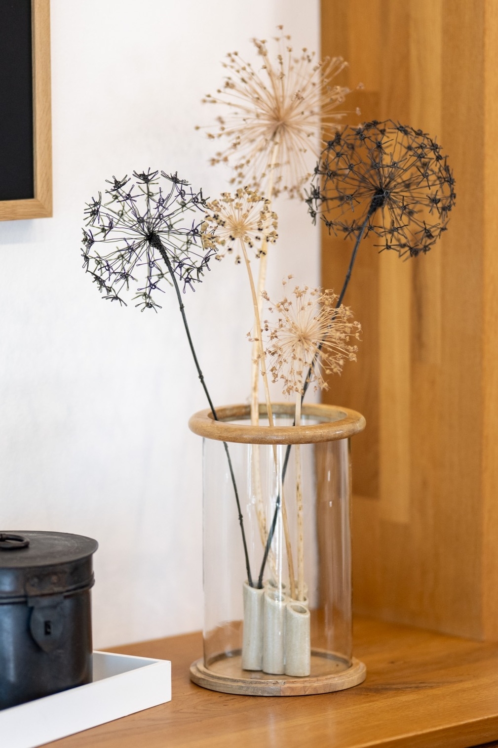 DSC_1351-edit-20251216163725 Allium