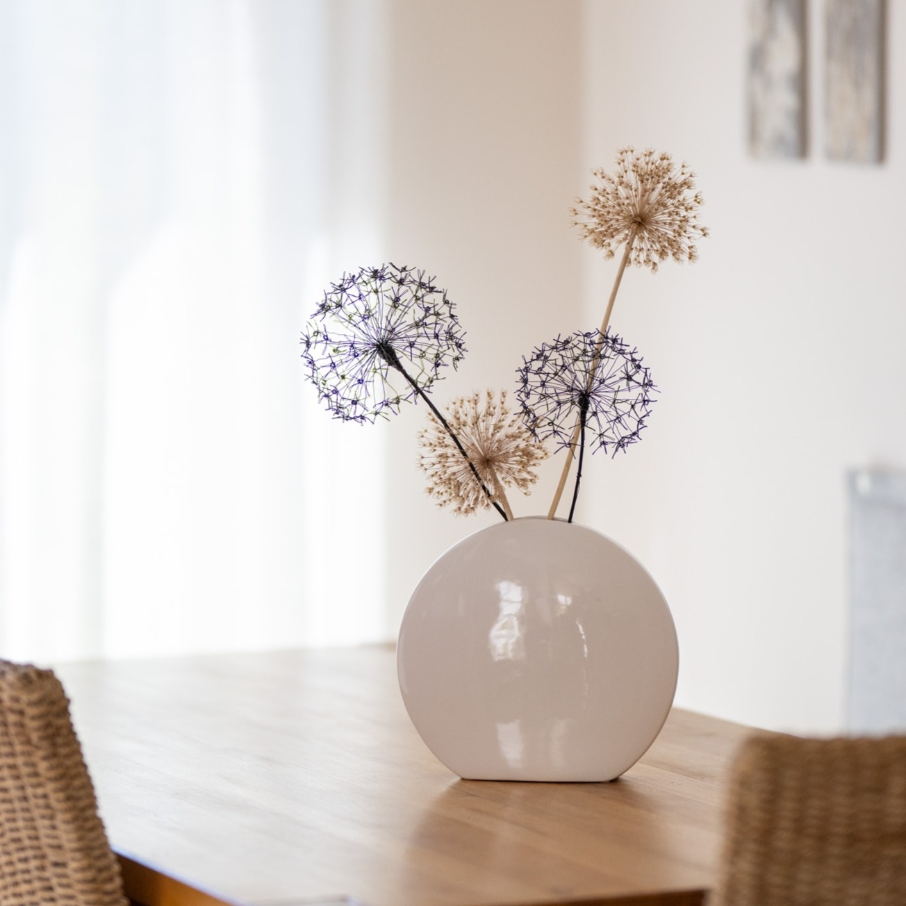 DSC_1590-edit-20251216163322 Allium