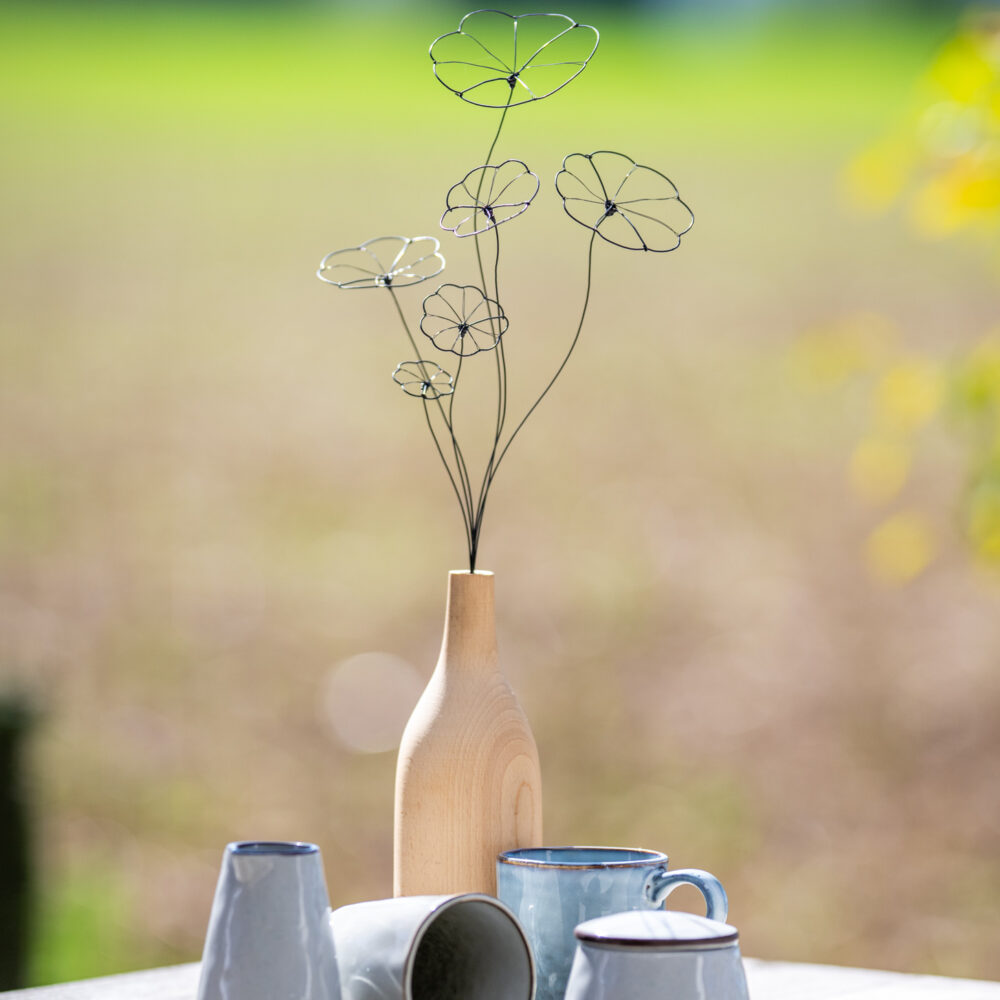 DSC_1810 Strauß Stephania Erecta