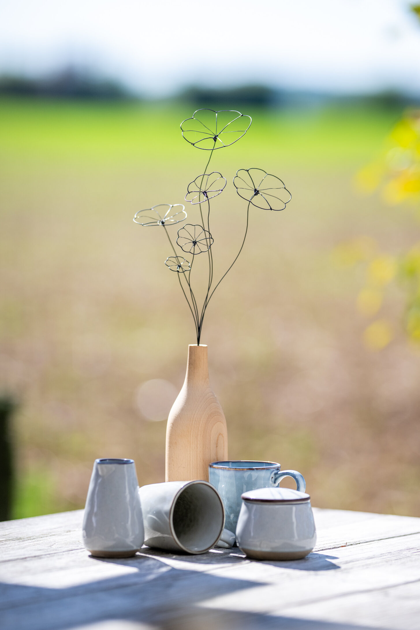 DSC_1810 Strauß Stephania Erecta