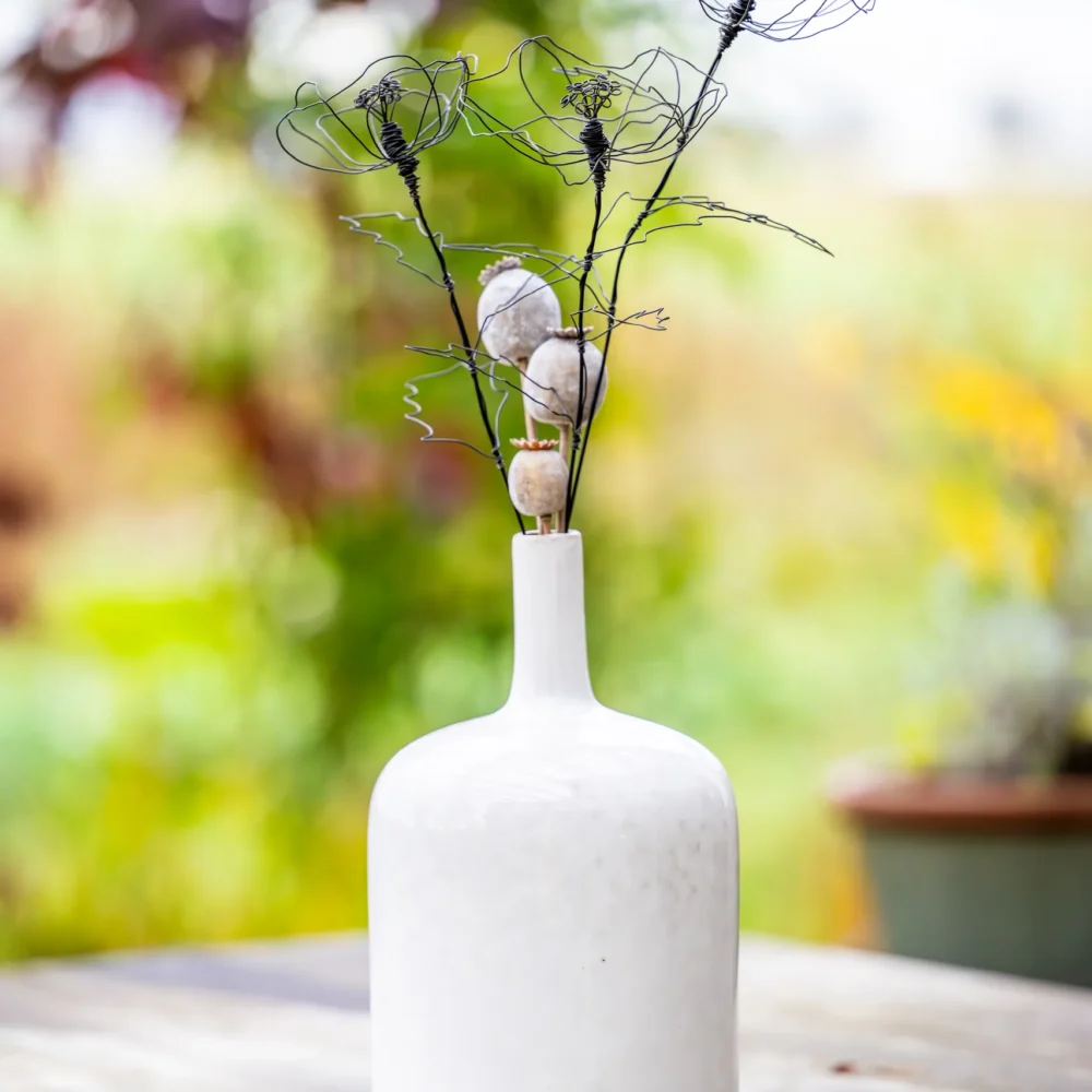 DSC_7930-Verbessert-RR Mohnblume