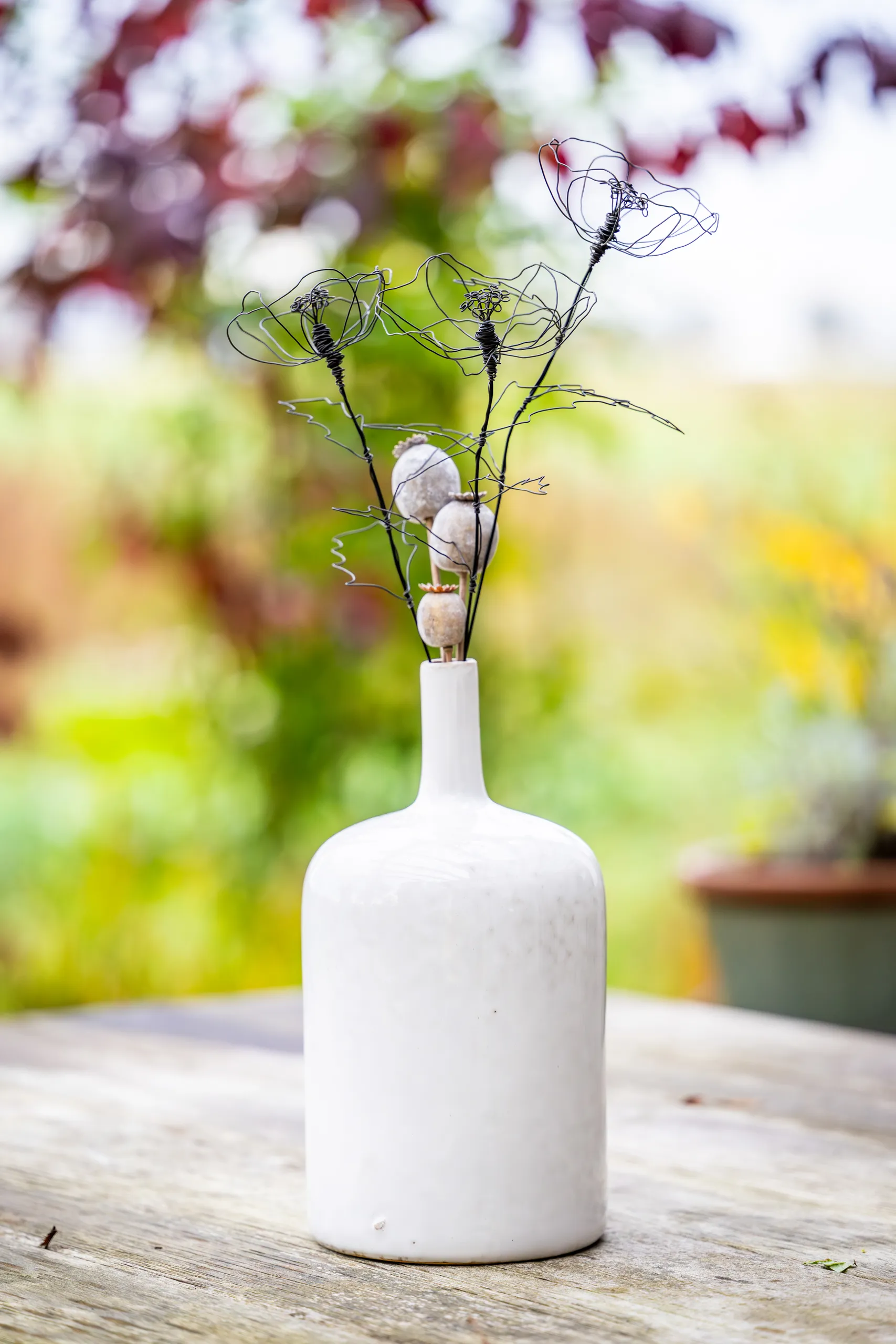 DSC_7930-Verbessert-RR Mohnblume