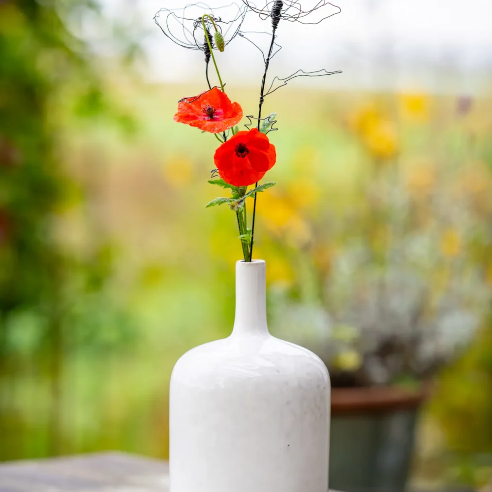 DSC_7943-Verbessert-RR Mohnblume