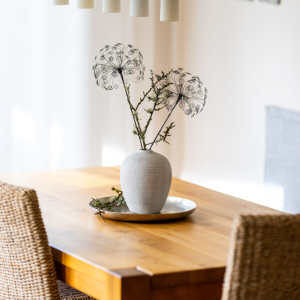 DSC_9059 Ringelpusteblume