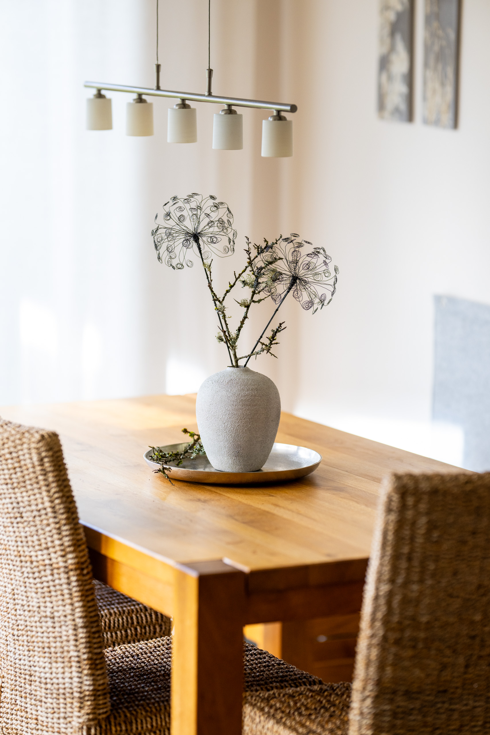 DSC_9059 Ringelpusteblume