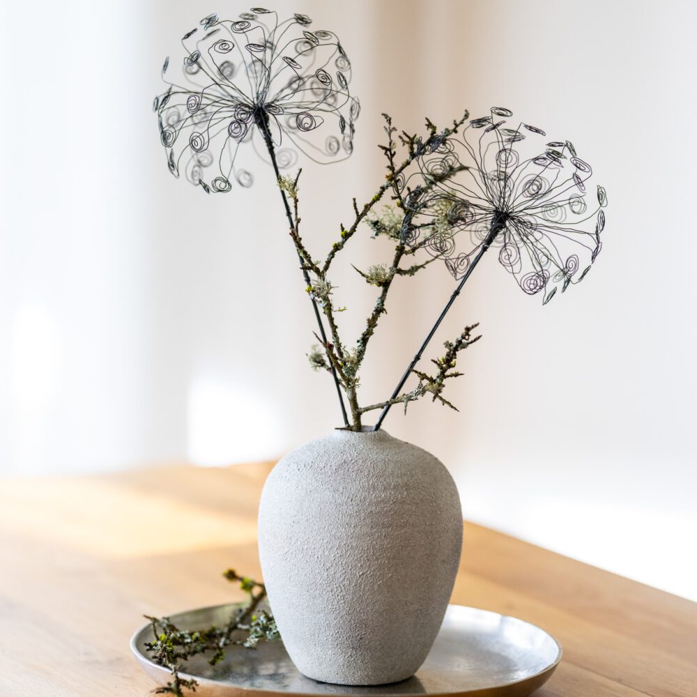 DSC_9087-1 Ringelpusteblume