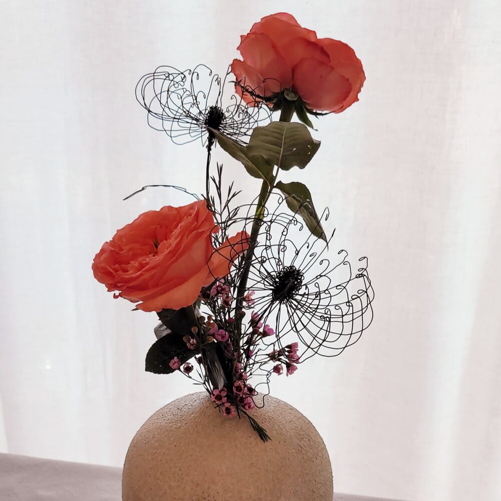 20250118_115625 Chrysantheme