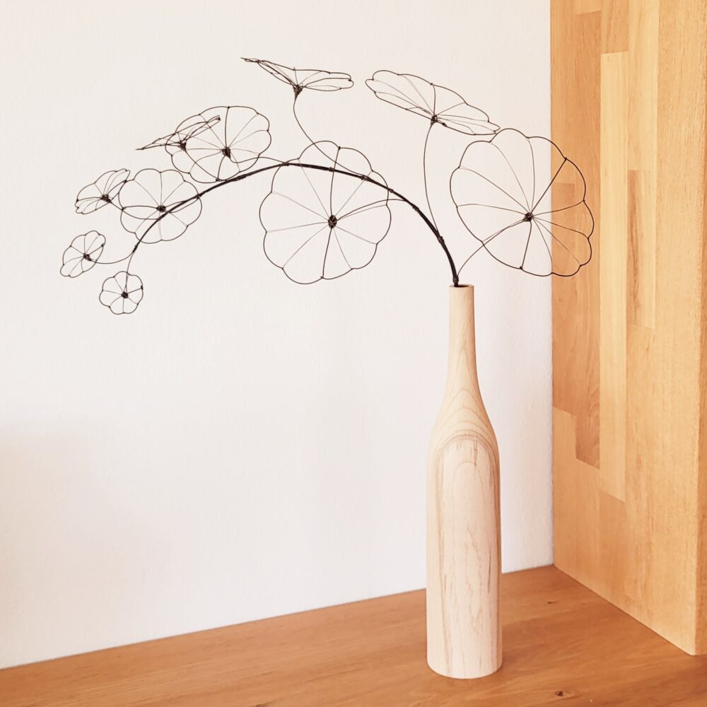 20250409_151541 1 Ranke Stephania Erecta