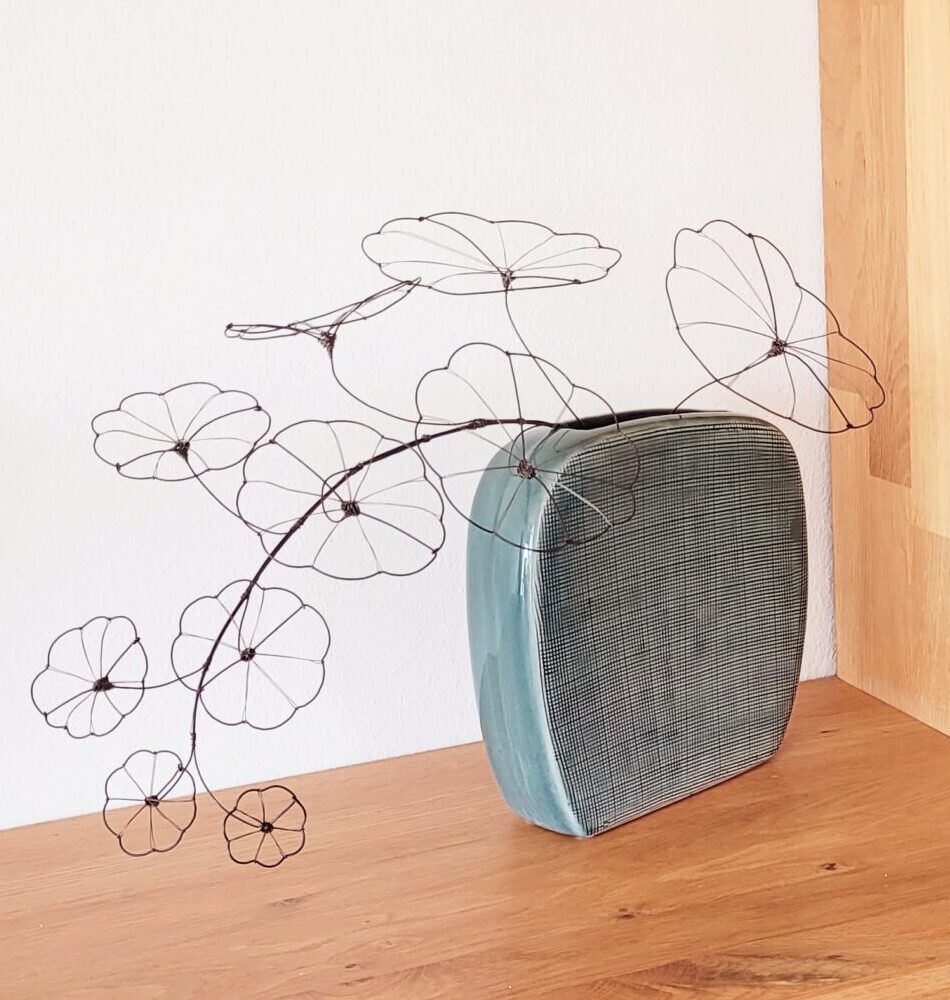 20250409_151820 2 Ranke Stephania Erecta