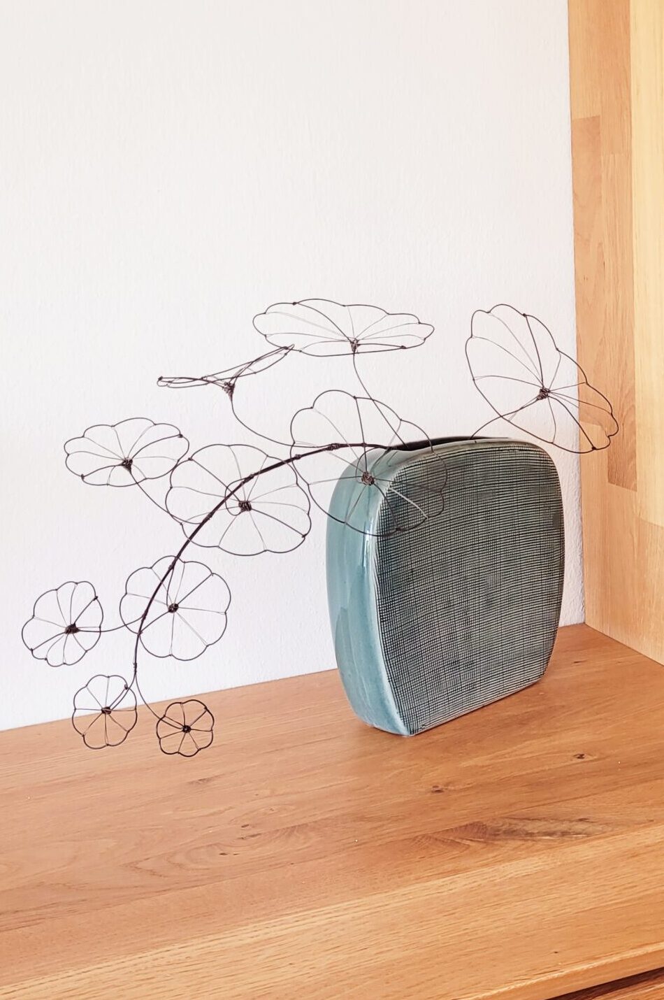 20250409_151820 2 Ranke Stephania Erecta