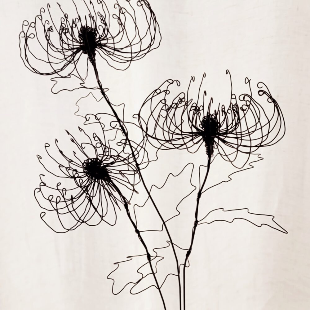 20260114_150357 Chrysantheme