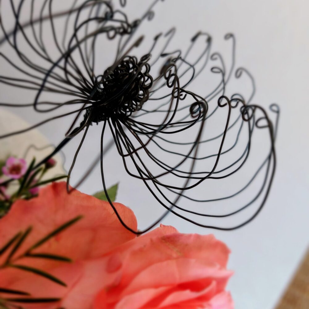 IMG-20250118-WA0002 Chrysantheme