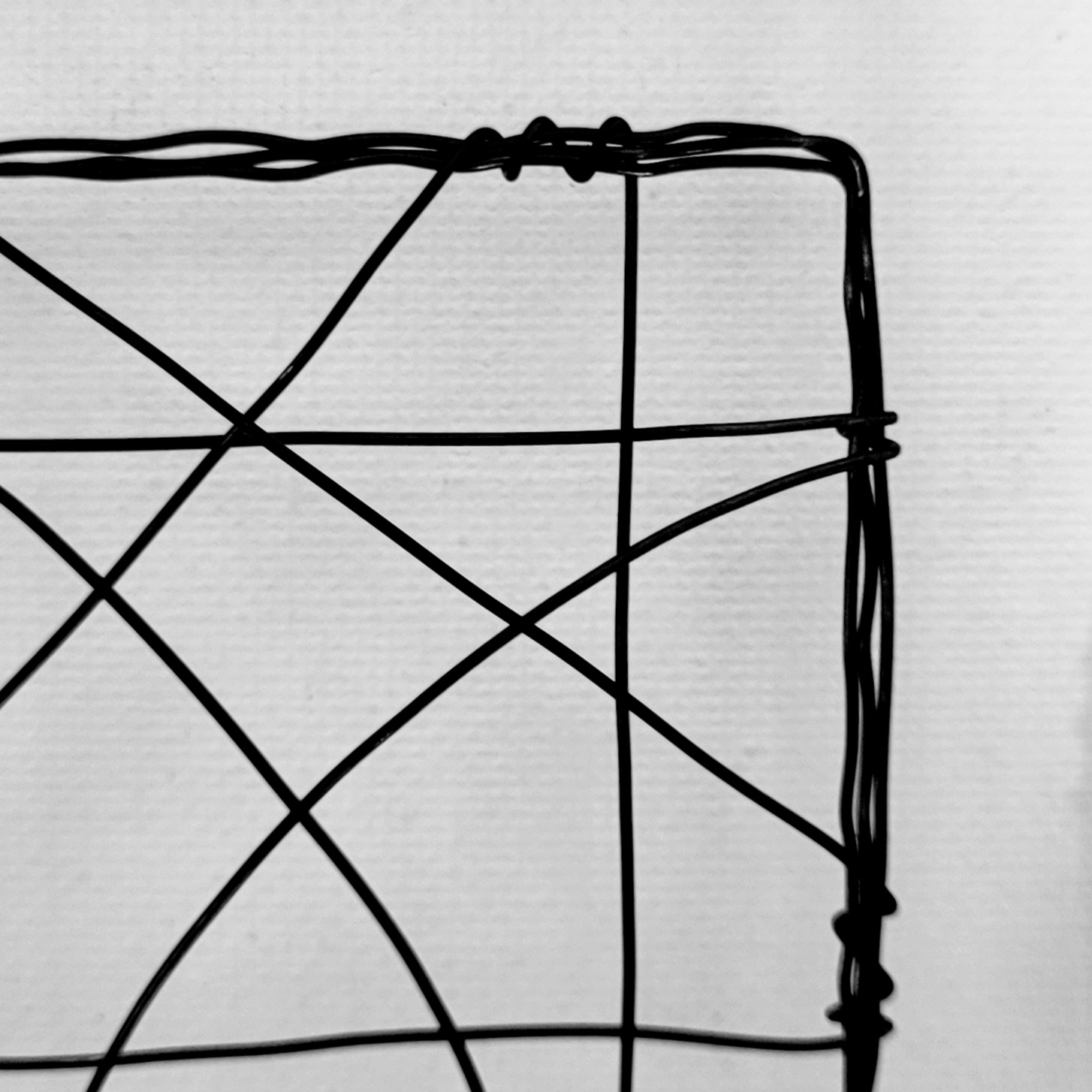 20260812_161128 Drahtkunst auf Leinwand